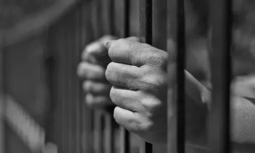 ഐസിസുമായി ചേർന്ന് ഗൂഢാലോചന: പ്രതിക്ക് ഏഴുവർഷം തടവ്