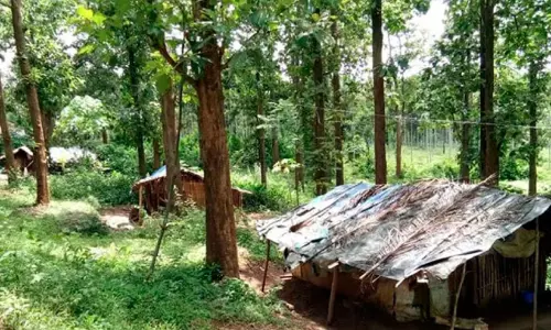 ഇരുളം ഭൂമി സമരം നീളുന്നു; സർക്കാറിൽ പ്രതീക്ഷയുമായി സമരക്കാർ ഇരുളം ഭൂമി സമരം നീളുന്നു; സർക്കാറിൽ പ്രതീക്ഷയുമായി സമരക്കാർ