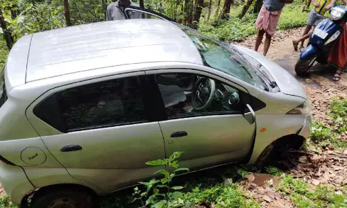 കാട്ടുപന്നിയിടിച്ച് കാർ തകർന്നു; ഡ്രൈവർ അത്ഭുതകരമായി രക്ഷപ്പെട്ടു