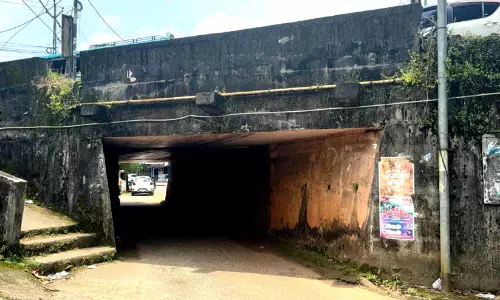 പേട്ട പാലത്തിന്റെ കോൺക്രീറ്റ് ബീമുകൾ അപകടാവസ്ഥയിൽ