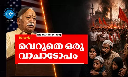 വെറുതെ ഒരു വാചാടോപം