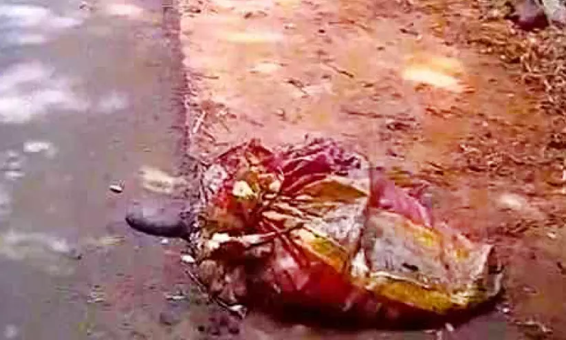 മന്ദത്തുകാവ് റോഡിൽ; അറവ് മാലിന്യം തള്ളൽ തുടർക്കഥ മന്ദത്തുകാവ് റോഡിൽ; അറവ് മാലിന്യം തള്ളൽ തുടർക്കഥ