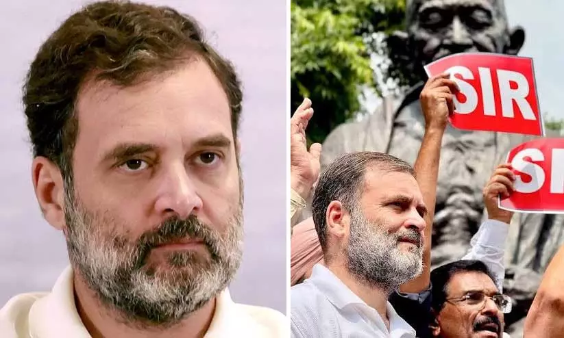 https://www.madhyamam.com/tags/rahul-gandhi https://www.madhyamam.com/tags/rahul-gandhi