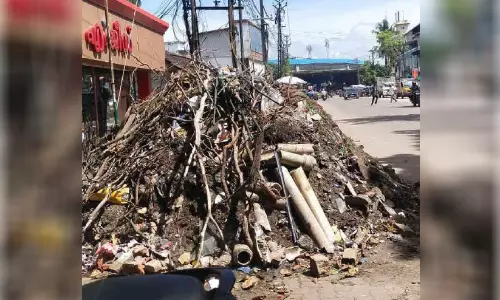 പഞ്ചായത്ത് ഷോപ്പിങ് കോംപ്ലക്സിന് മുന്നിൽ മാലിന്യക്കൂമ്പാരം