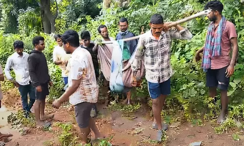 ആംബുലൻസിന് വഴിയില്ല; ആദിവാസി യുവതിയെ 11 കി.മീ കട്ടിലിൽ ചുമന്ന് ആശുപത്രിയിലെത്തിച്ചു