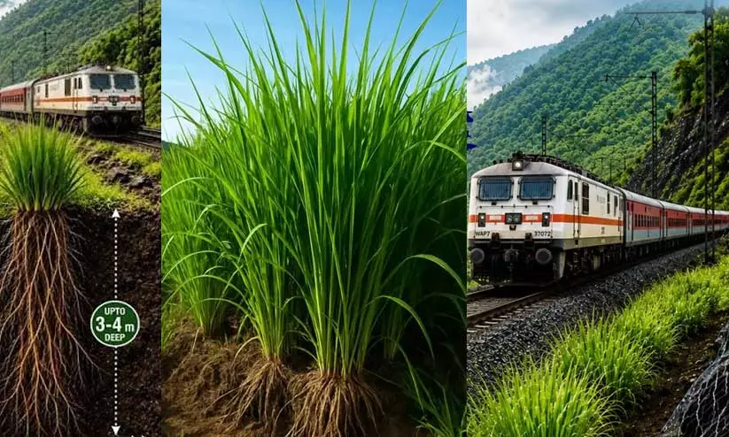https://www.madhyamam.com/tags/railway-track https://www.madhyamam.com/tags/railway-track