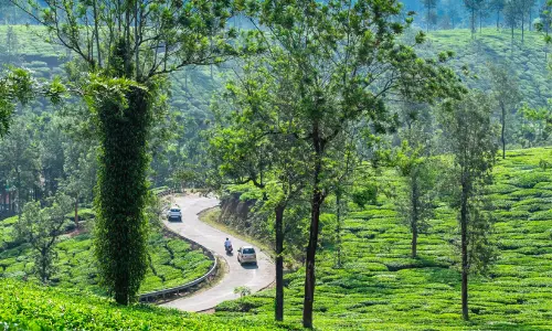 വയനാട് യാത്രാ പ്ലാൻ ചെയ്യുന്നുണ്ടോ? സെപ്റ്റംബറിൽ ശ്രദ്ധിക്കേണ്ട കാര്യങ്ങൾ വയനാട് യാത്രാ പ്ലാൻ ചെയ്യുന്നുണ്ടോ? സെപ്റ്റംബറിൽ ശ്രദ്ധിക്കേണ്ട കാര്യങ്ങൾ