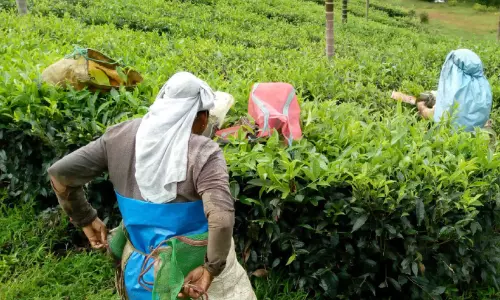 കർഷകരോട് എന്തിനീ ‘കടുപ്പം’ കർഷകരോട് എന്തിനീ ‘കടുപ്പം’