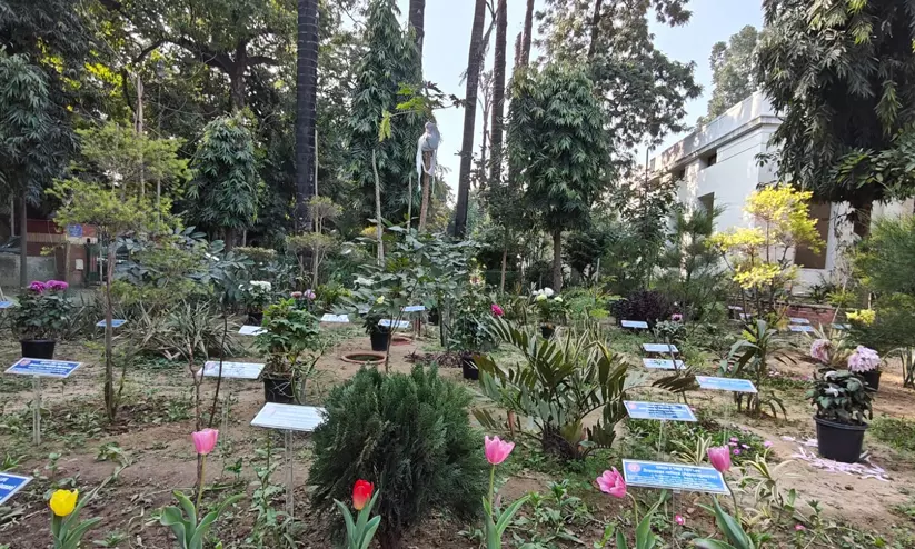 Delhi University Carbon Garden Delhi University Carbon Garden