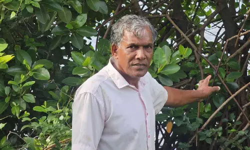 കണ്ടൽ നട്ടുപിടിപ്പിക്കാനായി പാറയിൽ രാജൻ തീരങ്ങൾ തേടുന്നു കണ്ടൽ നട്ടുപിടിപ്പിക്കാനായി പാറയിൽ രാജൻ തീരങ്ങൾ തേടുന്നു