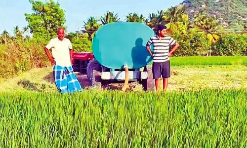 ഭൂ​ഗ​ർ​ഭ ജ​ല​നി​ര​പ്പ് കുറവ്: നെൽകൃഷി സംരക്ഷിക്കാൻ ജലം വിലയ്ക്ക് വാങ്ങി കർഷകർ