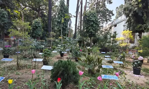 Delhi University Carbon Garden