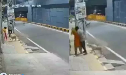 തെരുവുനായ്ക്കൾ ‘രക്ഷകരായി’, മാനസിക വെല്ലുവിളി നേരിടുന്ന യുവതിയെ പീഡിപ്പിക്കാൻ ശ്രമിച്ച 16കാരൻ പിടിയിൽ; സിസിടിവി വിഡീയോ