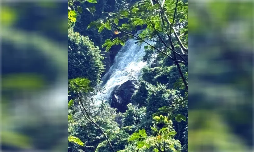 ആനക്കല്ലുംപാറ വെള്ളച്ചാട്ടം; വിനോദസഞ്ചാര കേന്ദ്രമാക്കണമെന്ന ആവശ്യമുയരുന്നു പ്രവേശനം അനുവദിക്കണം ആനക്കല്ലുംപാറ വെള്ളച്ചാട്ടം; വിനോദസഞ്ചാര കേന്ദ്രമാക്കണമെന്ന ആവശ്യമുയരുന്നു പ്രവേശനം അനുവദിക്കണം