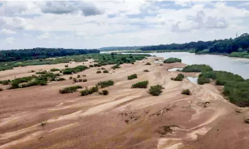 മഴ ഒഴിഞ്ഞു; നിള വരണ്ടു, വെള്ളം സംഭരിച്ചുനിർത്താൻ തടയണ പോലുള്ള സംവിധാനങ്ങൾ ഇല്ലാത്തതാണ് വരളാൻ കാരണം മഴ ഒഴിഞ്ഞു; നിള വരണ്ടു, വെള്ളം സംഭരിച്ചുനിർത്താൻ തടയണ പോലുള്ള സംവിധാനങ്ങൾ ഇല്ലാത്തതാണ് വരളാൻ കാരണം