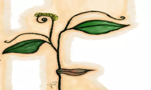ഇ​ല​ക്കാ​രി