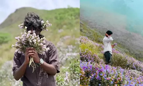 നീലക്കുറിഞ്ഞി പറിച്ച് സോഷ്യൽ മീഡിയയിൽ പോസ്റ്റിട്ടു; യുവാക്കൾക്കെതിരെ അന്വേഷണം നീലക്കുറിഞ്ഞി പറിച്ച് സോഷ്യൽ മീഡിയയിൽ പോസ്റ്റിട്ടു; യുവാക്കൾക്കെതിരെ അന്വേഷണം