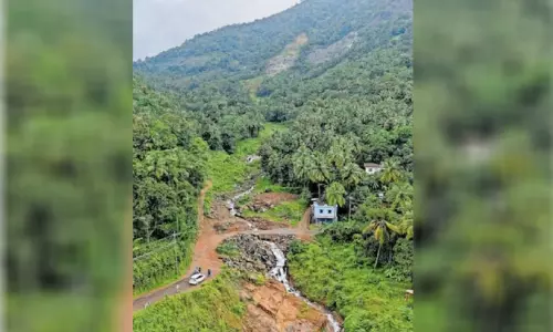 ചുരമില്ല, മുടിപ്പിൻ വളവുകളുമില്ല; വരട്ടെ, വിലങ്ങാട്   ബദൽപാത