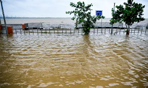 bihar flood affected 13 disticts bihar flood affected 13 disticts