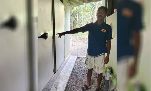 ടാപ്പിങ്ങിനെത്തിയ തൊഴിലാളിയെ പിന്തുടർന്ന് കാട്ടാന; തലനാരിഴക്ക് രക്ഷപ്പെട്ടു
