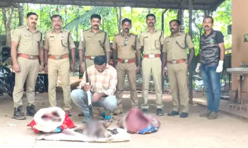 40 കിലോയോളം മ്ലാവിറച്ചിയും തോക്കുമായി യുവാവ് അറസ്റ്റിൽ