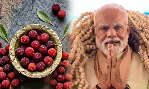 agri news agri news