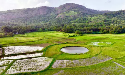 അനങ്ങൻ മലയുടെ മടിത്തട്ടിലെ വിസ്മയം; കാളിക്കുളം വിനോദസഞ്ചാര ഭൂപടത്തിലേക്ക്