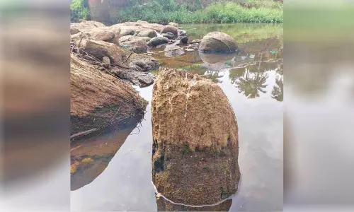 വല്ലം തോട്ടിലും മുടിക്കല്‍ ആനപ്പാറയിലും കണ്ടെത്തിയ ശേഷിപ്പുകള്‍ പുരാവസ്തു വകുപ്പ് പരിശോധിക്കും