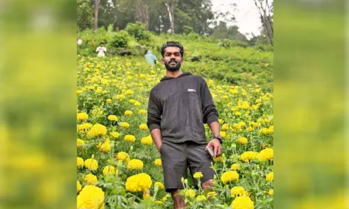 ജയിൽവാസം ജീവിതം മാറ്റിമറിച്ചു; ചെണ്ടുമല്ലി കൃഷി ലഹരിയാക്കി ഷിബുലാൽ