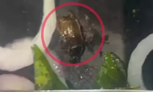 ബിരിയാണിയിൽ ചത്ത വണ്ട്; പരാതിക്ക് പിന്നാലെ കോഴിക്കോട് ഹോട്ടൽ അടപ്പിച്ചു
