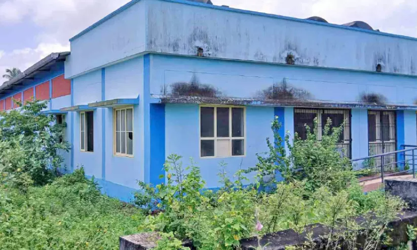 പുതിയങ്ങാടിയിലെ കല്ലുമ്മക്കായ, കടൽമത്സ്യ വിത്തുൽപാദന കേന്ദ്രം യാഥാർഥ്യമാകാൻ ഇനി എത്രനാൾ? പുതിയങ്ങാടിയിലെ കല്ലുമ്മക്കായ, കടൽമത്സ്യ വിത്തുൽപാദന കേന്ദ്രം യാഥാർഥ്യമാകാൻ ഇനി എത്രനാൾ?