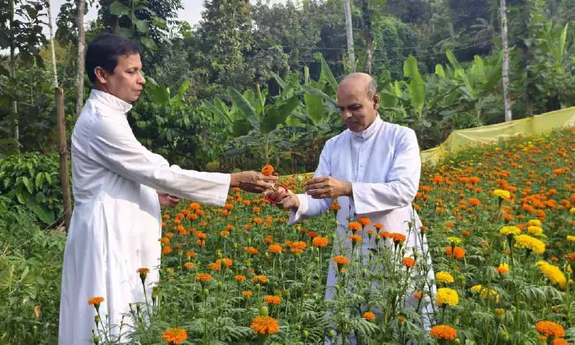 മൊബൈൽ ആസക്തി വഴിമാറി; ഇഞ്ചിയാനിയിൽ ബന്തിപ്പൂ വസന്തം മൊബൈൽ ആസക്തി വഴിമാറി; ഇഞ്ചിയാനിയിൽ ബന്തിപ്പൂ വസന്തം