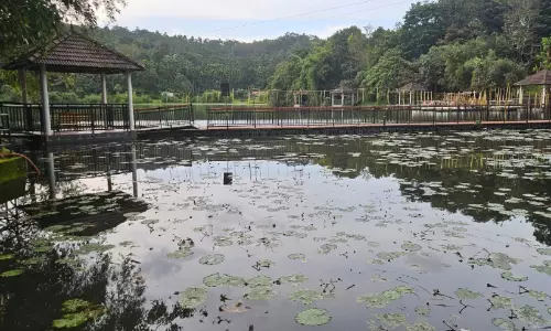 പൂക്കോട് തടാകം