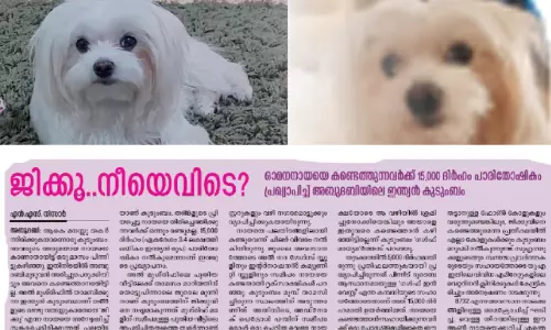 15,000 അല്ല; ‘ജിക്കു’വിനെ കണ്ടെത്തിയാൽ ഇനി 30,000 ദിർഹം പാരിതോഷികം പ്രഖ്യാപിച്ച് ഇന്ത്യൻ കുടുംബം