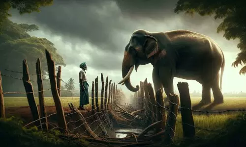 ഒഡീഷയിൽ മനുഷ്യ-ആന സംഘർഷം ആശങ്കാജനകമെന്ന് പഠനം ഒഡീഷയിൽ മനുഷ്യ-ആന സംഘർഷം ആശങ്കാജനകമെന്ന് പഠനം