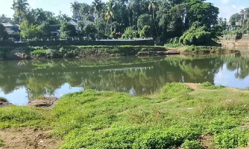 ചന്തക്കടവ് കാട് കയറി നശിക്കുന്നു ചന്തക്കടവ് കാട് കയറി നശിക്കുന്നു