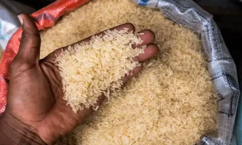 തമിഴ്നാട്ടിൽ `റേഷൻ അരി, അതിർത്തി കടന്നാൽ പൊളിഷ് ചെയ്ത് `ബ്രാന്‍ഡഡ് അരി; കേരളത്തിൽ മറിച്ചുവിൽപന നടത്തുന്നത് വന്‍ ശൃംഖല