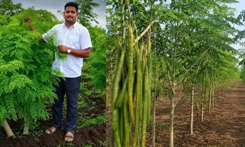 https://www.madhyamam.com/tags/farming