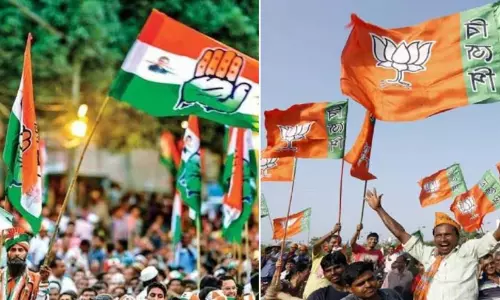 Rajasthan Local Election Results