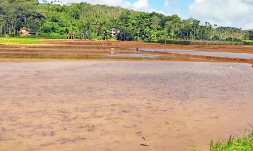വെ​ള്ള​മി​ല്ല, ഞാ​റ് ന​ടാ​നാ​കാ​തെ ക​ർ​ഷ​ക​ർ