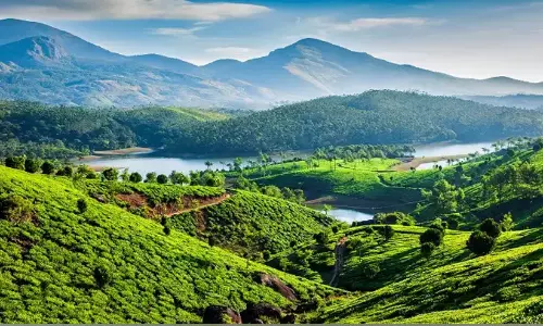 ന​ഗ​ര​ത്തി​ൽ ന​ട​പ്പാ​ത കൈ​യേ​റ്റം വ​ർ​ധി​ക്കു​ന്നു  ആ​രു​മി​ല്ലേ ചോ​ദി​ക്കാ​ൻ?