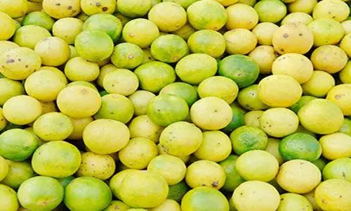 വരവ് കുറഞ്ഞു, ആവശ്യക്കാർ ഏറി; ചെറുനാരങ്ങ വില കുതിക്കുന്നു