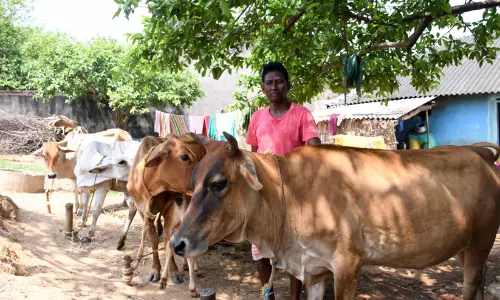 ബീഫ് കിട്ടാനില്ല, വിലയും കുതിച്ചു; ബംഗാളിൽ മാംസവ്യാപാരം പ്രതിസന്ധിയിൽ