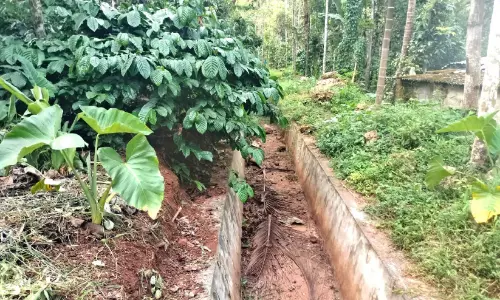വെള്ളമല്ല; ഈ കനാലിൽ ഒഴുകിപ്പോയത് 27 ലക്ഷം വെള്ളമല്ല; ഈ കനാലിൽ ഒഴുകിപ്പോയത് 27 ലക്ഷം