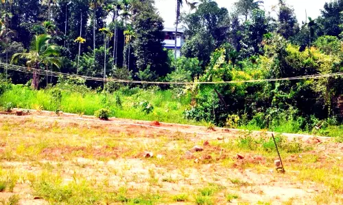 വൈദ്യുതി ലൈൻ കൈയ്യെത്തുംദൂരെ; പരാതി നൽകിയിട്ടും നടപടിയില്ല