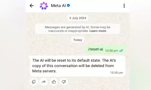 വാട്സ്‌ആപ്പിലെ ആ നീല-റോസ് പൂവ് എന്താണ്? ചാരപ്പണി ചെയ്യാനാണോ? അറിയാത്തവർക്കായി!