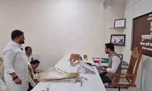 nashik stray dog protest