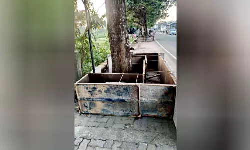 നഗരസൗന്ദര്യവത്കരണം; റിങ് റോഡിലെ തണൽമരങ്ങൾക്ക് ചുറ്റും ഇരിപ്പിടങ്ങൾ വരുന്നു നഗരസൗന്ദര്യവത്കരണം; റിങ് റോഡിലെ തണൽമരങ്ങൾക്ക് ചുറ്റും ഇരിപ്പിടങ്ങൾ വരുന്നു