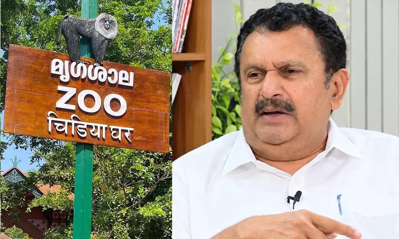 https://www.madhyamam.com/tags/k-muraleedharan https://www.madhyamam.com/tags/k-muraleedharan