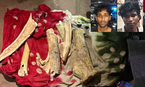 രാത്രികാല പരിശോധന; മാനിന്റെ കൊമ്പും എല്ലുകളുമായി അന്തർ സംസ്ഥാന തൊഴിലാളി പിടിയിൽ